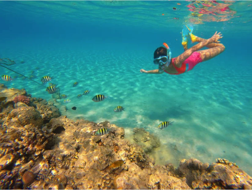 Snorkeling above a vibrant reef