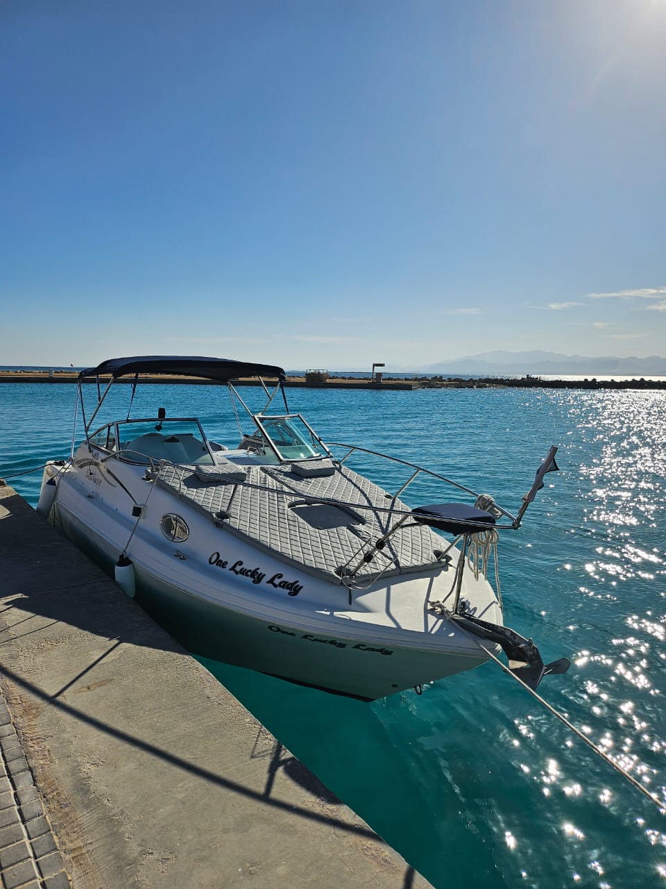 Snorkeling above a vibrant reef