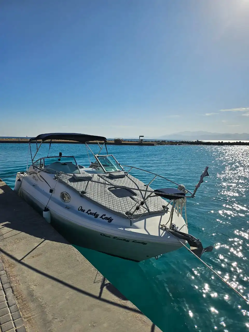 Snorkeling above a vibrant reef