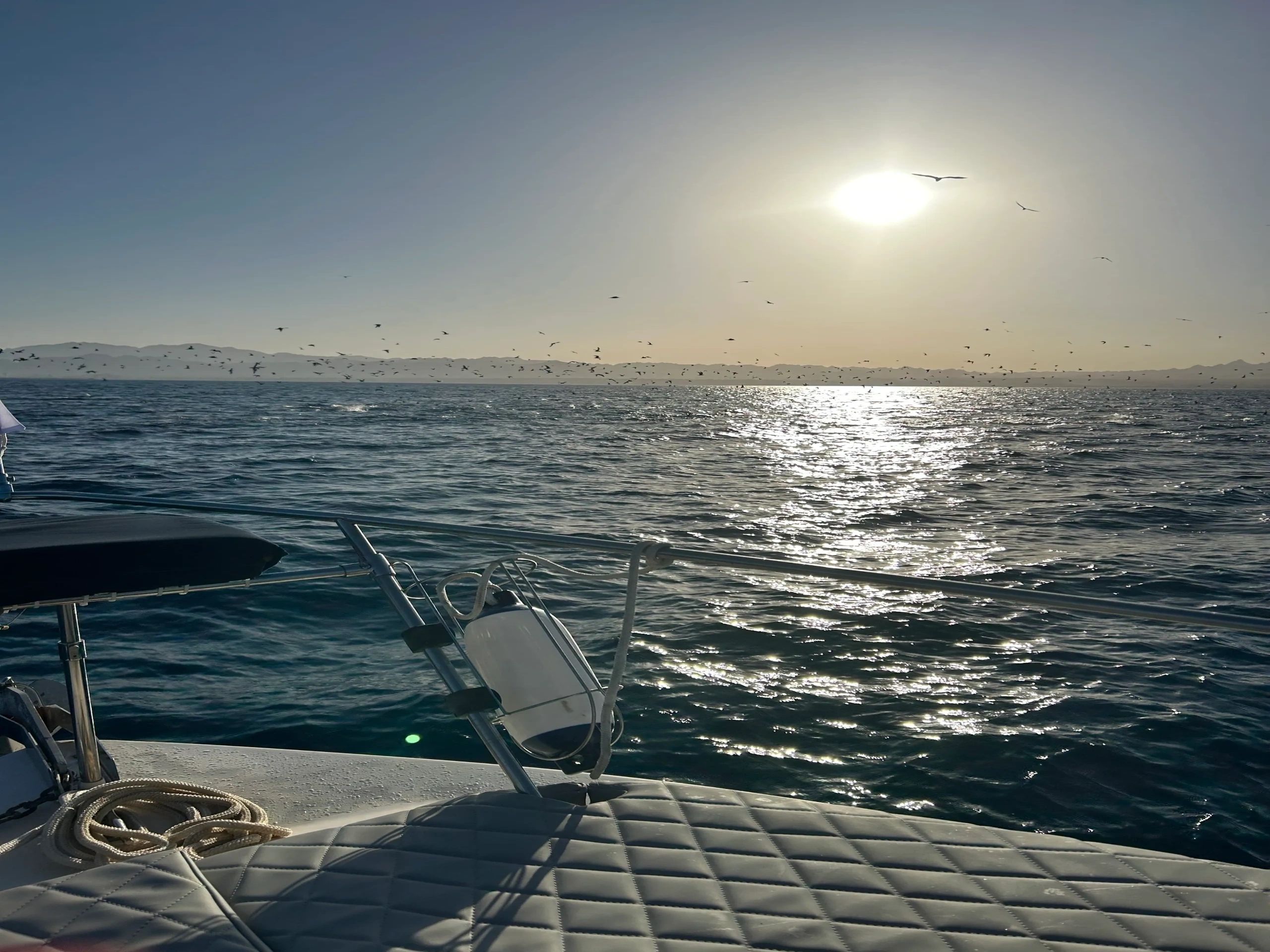 Snorkeling above a vibrant reef