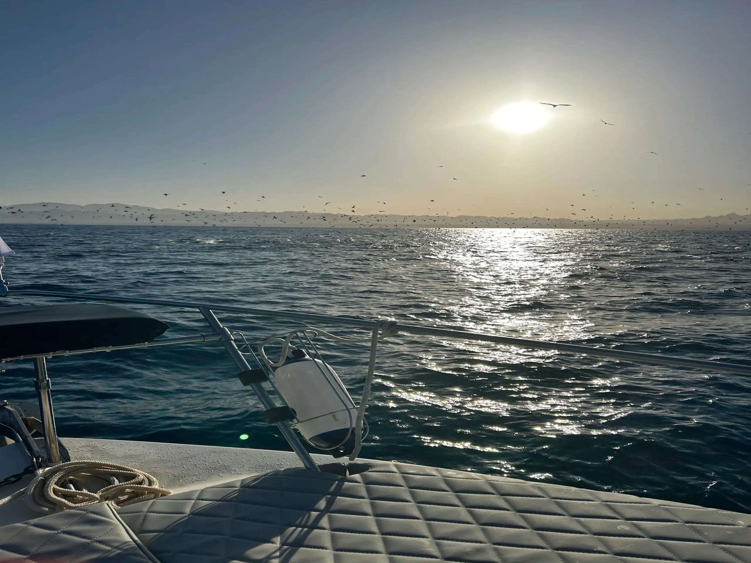 Snorkeling above a vibrant reef